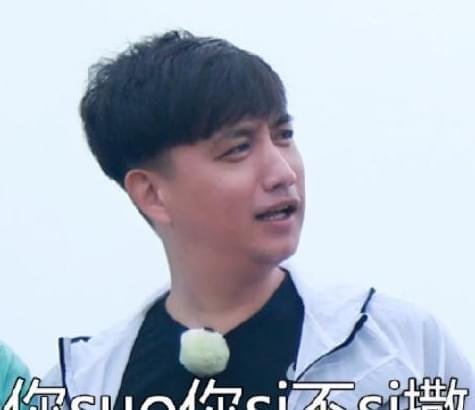 娱乐圈吃瓜鹏哥,鹏哥的瓜田奇遇记