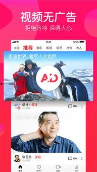 吃瓜娱乐频道下载苹果版,苹果版下载攻略，轻松畅享热门内容！