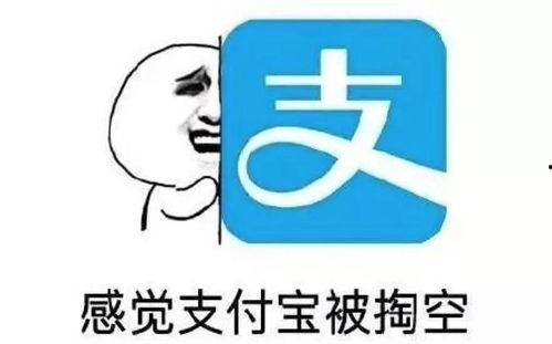 陈学冬娱乐圈吃瓜事件,真相与争议并存